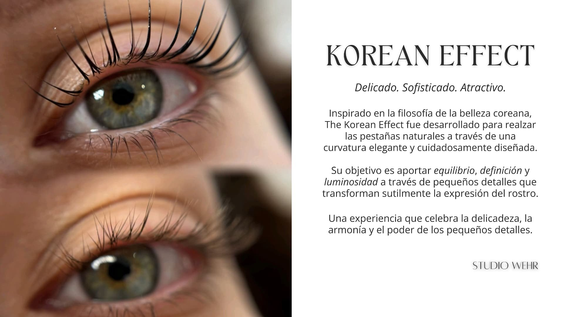 The Korean Effect en Studio Wehr